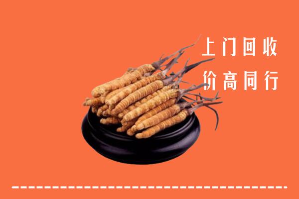 高价求购：甘孜州得荣回收散虫草