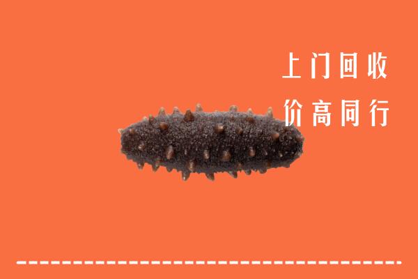 高价求购：甘孜州得荣回收海参