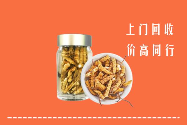 甘孜州得荣回收冬虫夏草