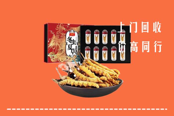 甘孜州得荣回收虫草